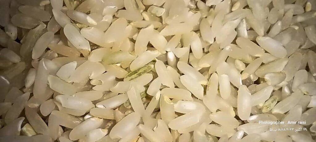 برنج سبوسدار و ارگانیک ایرانی