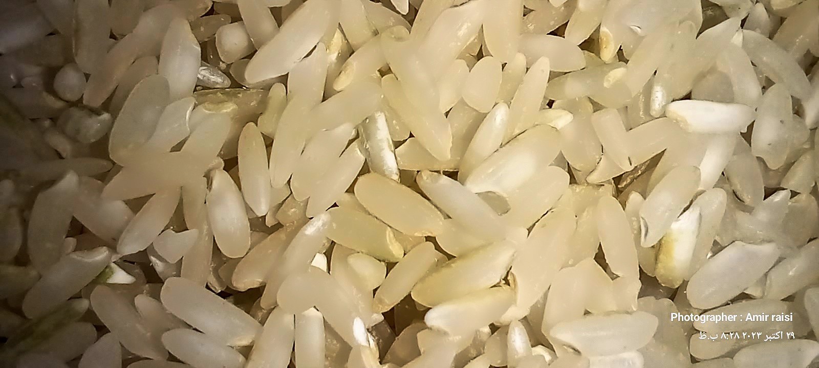 برنج سبوسدار و ارگانیک ارمون